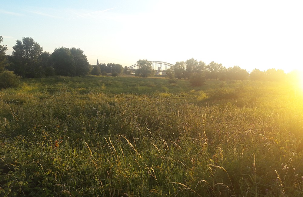 Writing in the chapel 12 mei: Vrij Writing in the chapel 12 mei: Vrij