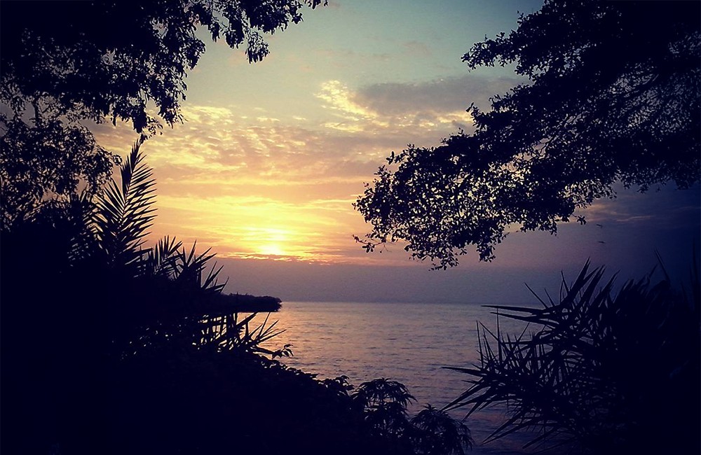 Writing in the chapel 16 juni : Midzomer