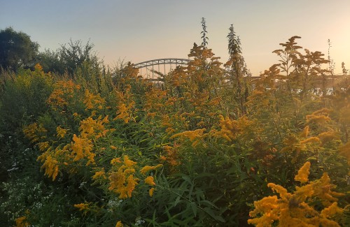 Writing in the chapel 15 september: Nazomer